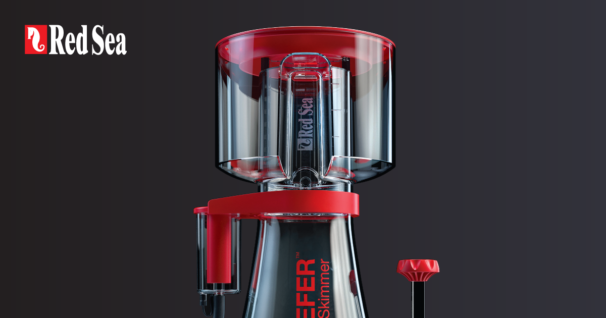 RedSea Reefer Skimmeri - Slika 2